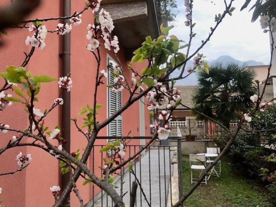 Giuditta Freecarpark&Garden Domodossola Extérieur photo