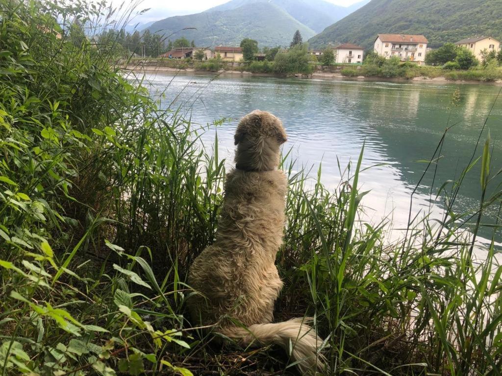 Giuditta Freecarpark&Garden Domodossola Extérieur photo