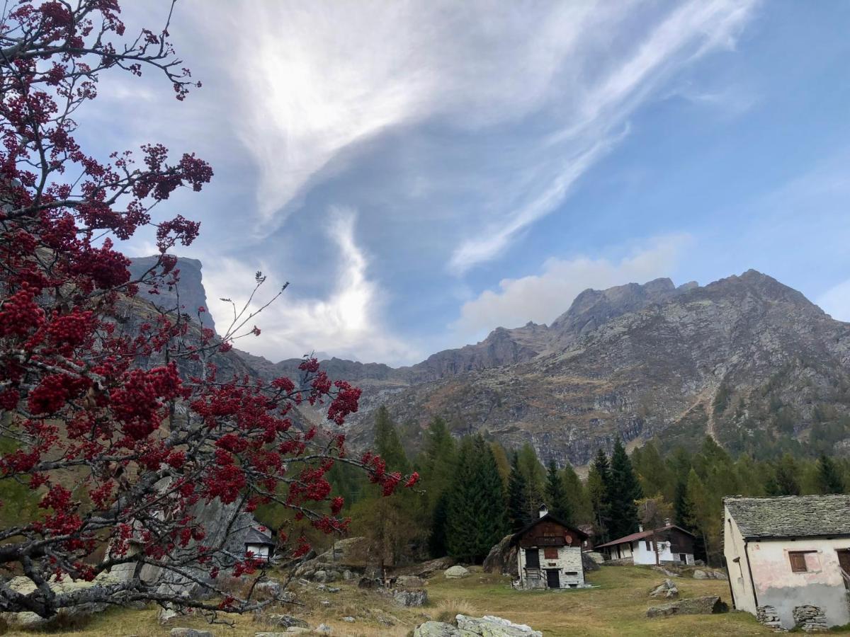Giuditta Freecarpark&Garden Domodossola Extérieur photo