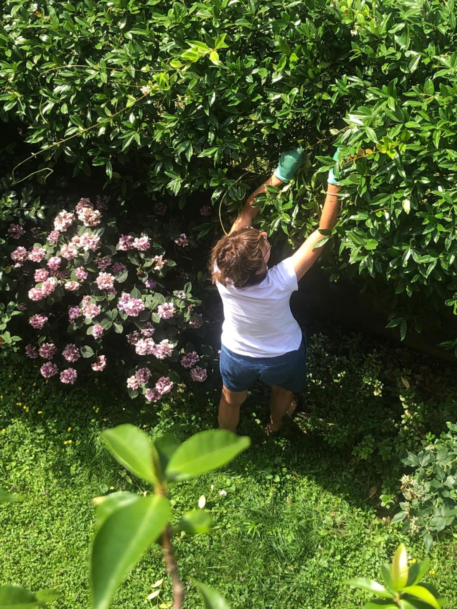 Giuditta Freecarpark&Garden Domodossola Extérieur photo