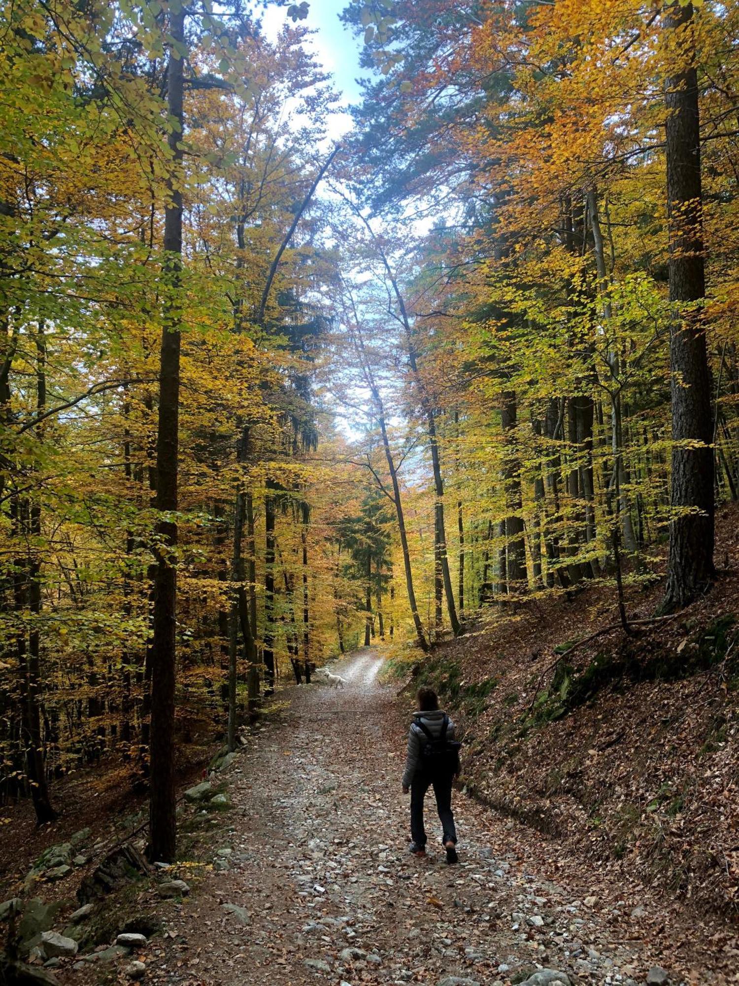 Giuditta Freecarpark&Garden Domodossola Extérieur photo